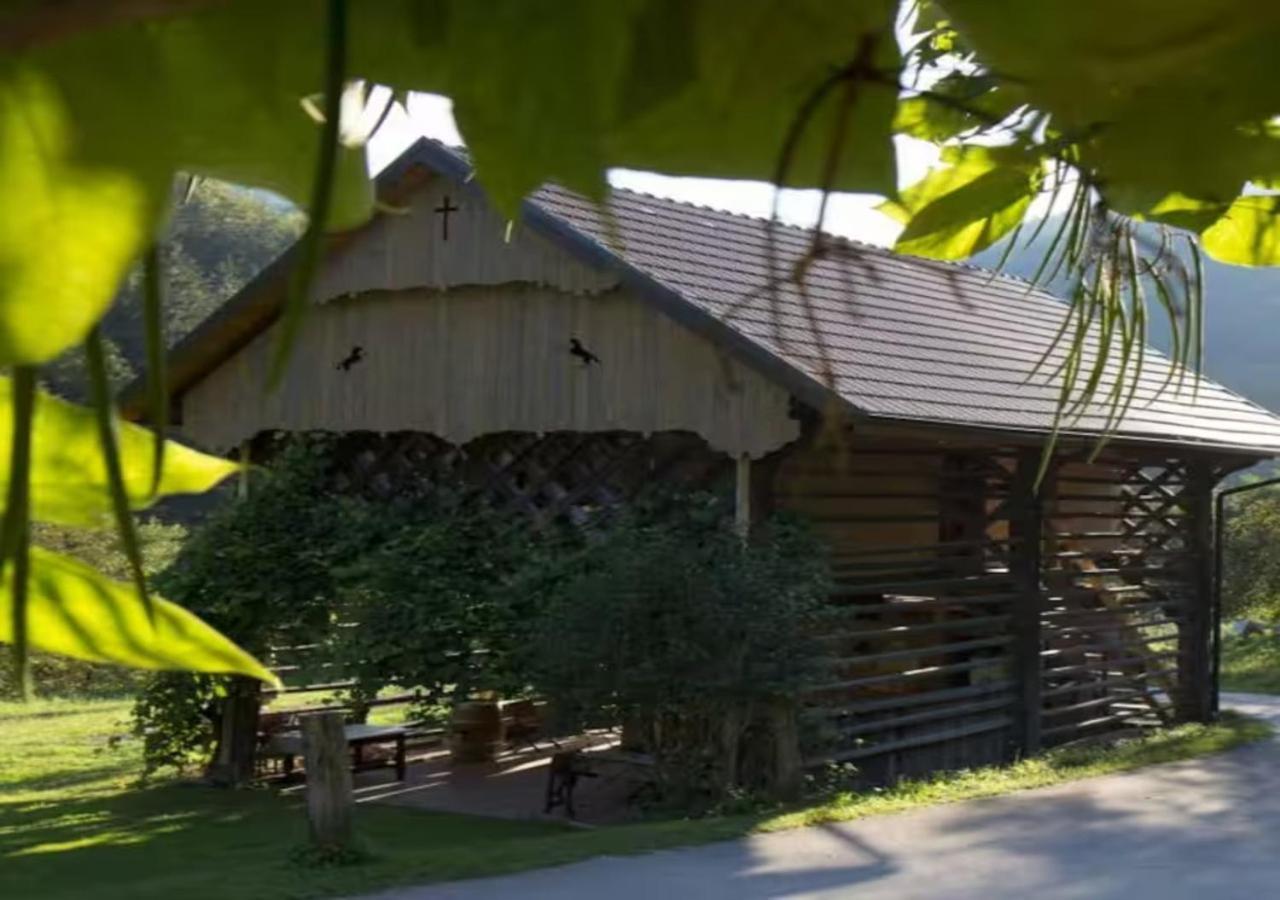 Turisticna Kmetija Weiss Villa Miklavz pri Taboru Екстериор снимка