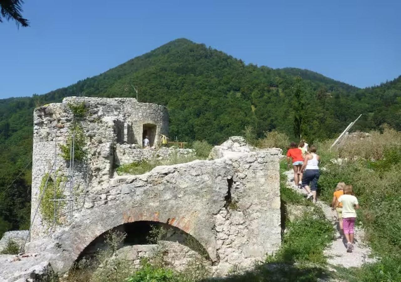 Turisticna Kmetija Weiss Villa Miklavz pri Taboru Екстериор снимка