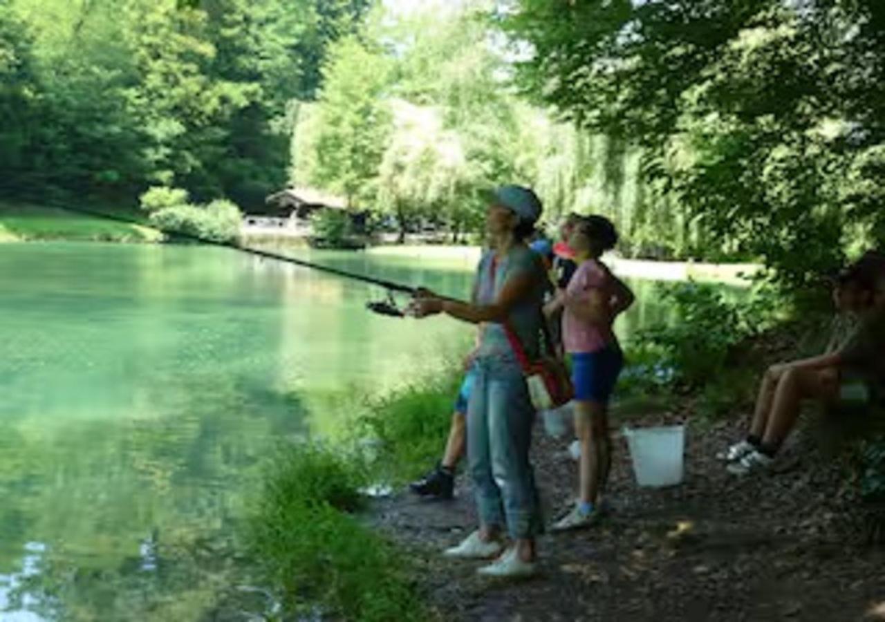 Turisticna Kmetija Weiss Villa Miklavz pri Taboru Екстериор снимка