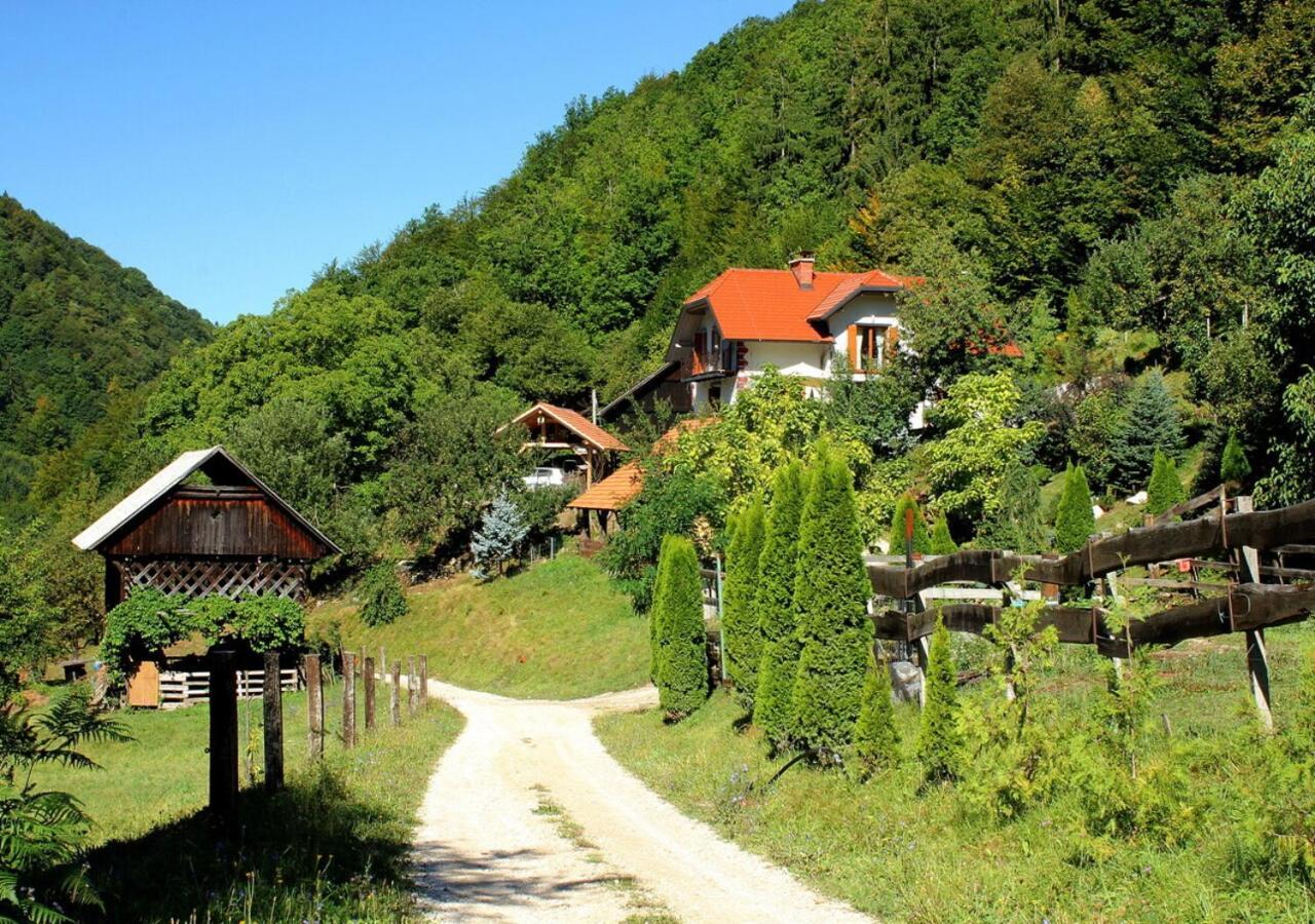 Turisticna Kmetija Weiss Villa Miklavz pri Taboru Екстериор снимка