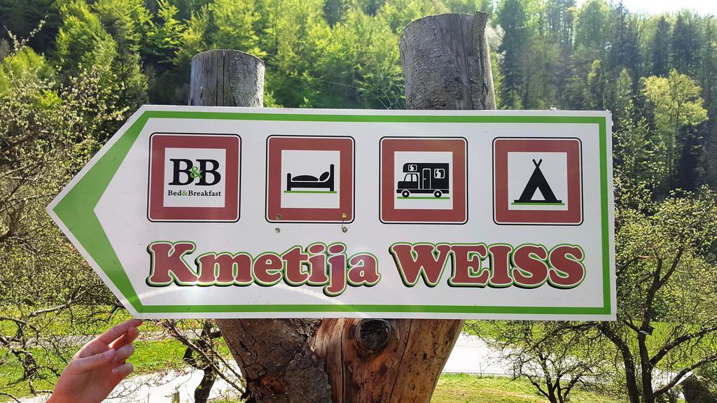 Turisticna Kmetija Weiss Villa Miklavz pri Taboru Екстериор снимка