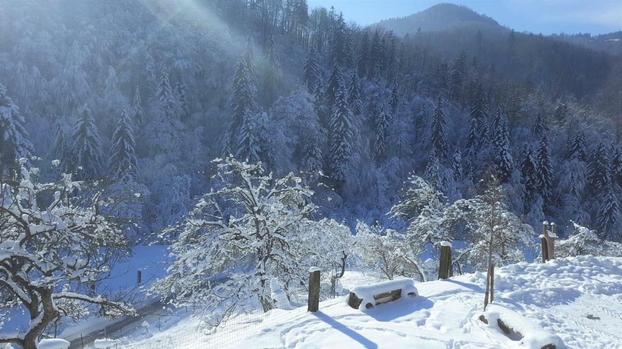 Turisticna Kmetija Weiss Villa Miklavz pri Taboru Екстериор снимка