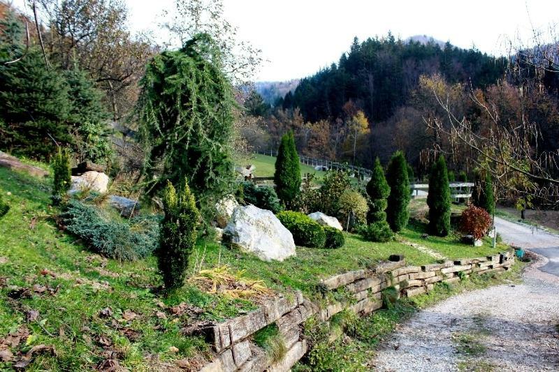Turisticna Kmetija Weiss Villa Miklavz pri Taboru Екстериор снимка